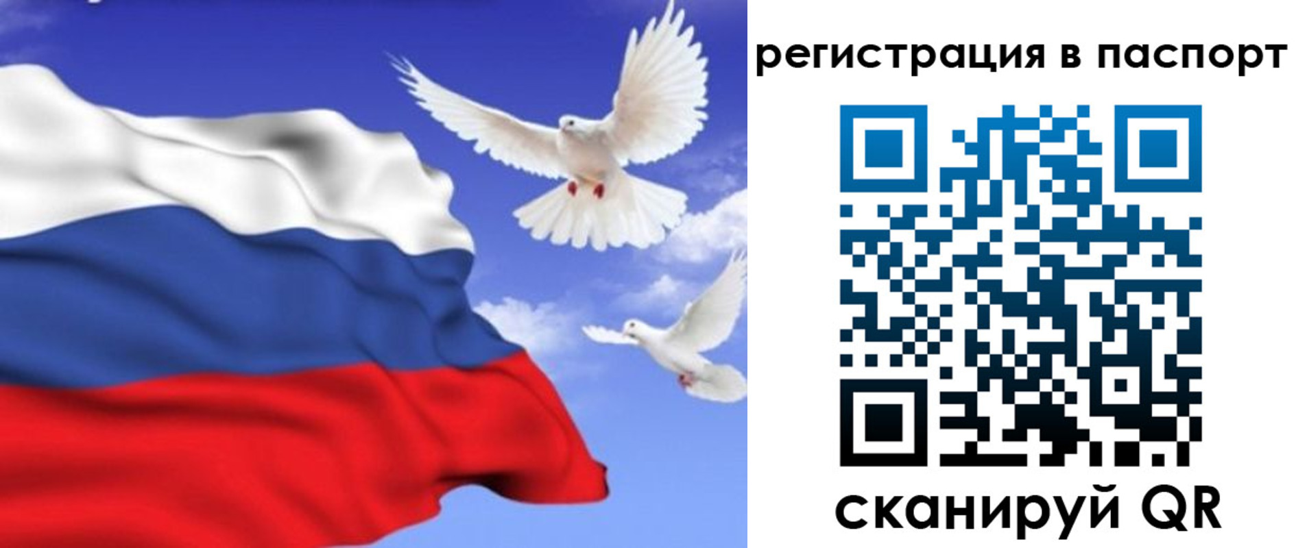 купить прописку в Судогде